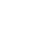 Lion - symbole