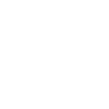 Stewardess