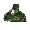 Soldier