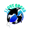 I love orcas