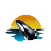 Orca