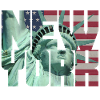 New York Statue of Liberty Liberty USA flag flag