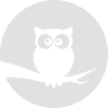 Eule vorm Mond
