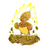 Angry quail / angry quail