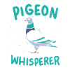 Taube Tauben Flüsterer