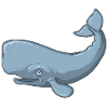 Sperm Whale