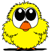 Sweet Chicken