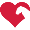 Pony in the heart
