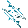 requins