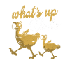Dodo