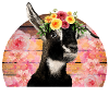 I Goat This