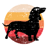 Dog Dachshund dog owner gift