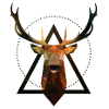 Hirsch Geometrie