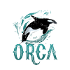 Killer Whale Fish Whale