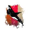 Orca