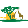 Girafes