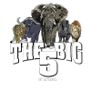 THE BIG 5 of Africa