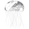 Admirable jellyfish