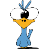 Bird V2