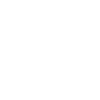 A grasshopper