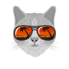 Cat with sunglasses glasses gift