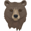 Brown Bear