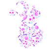 Fleurs de teckel II