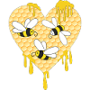 Honey bee, honeycomb