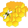 Honey bee, honeycomb