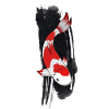 Koi carp