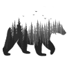 bear
