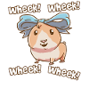 Guinea pig