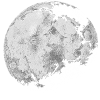 white moon