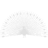 White peacock