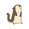 Otter