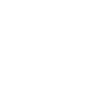 Curly Coated Retrievers