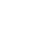 Dinosaur evolution