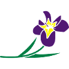 Blumen: Iris