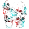 skull