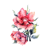 fleur
