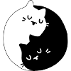 Cats in black and white