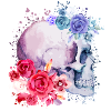 Crâne Aquarelle