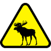 Elk