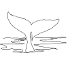 whale