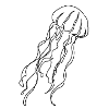 jellyfish
