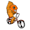 Fisk på cykel fiskeri fisker cykel gaver
