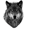 Angry Wolf