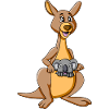 Känguru mit Koala im Beutel - kangaroo with koala