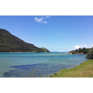 Türkis-blaues Meer mit blauem Himmel - Neuseeland