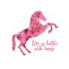 École d'équitation poney